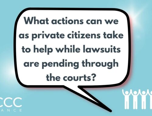 What Actions can we as Private Citizens Take to Help while Lawsuits are Pending through the Courts?