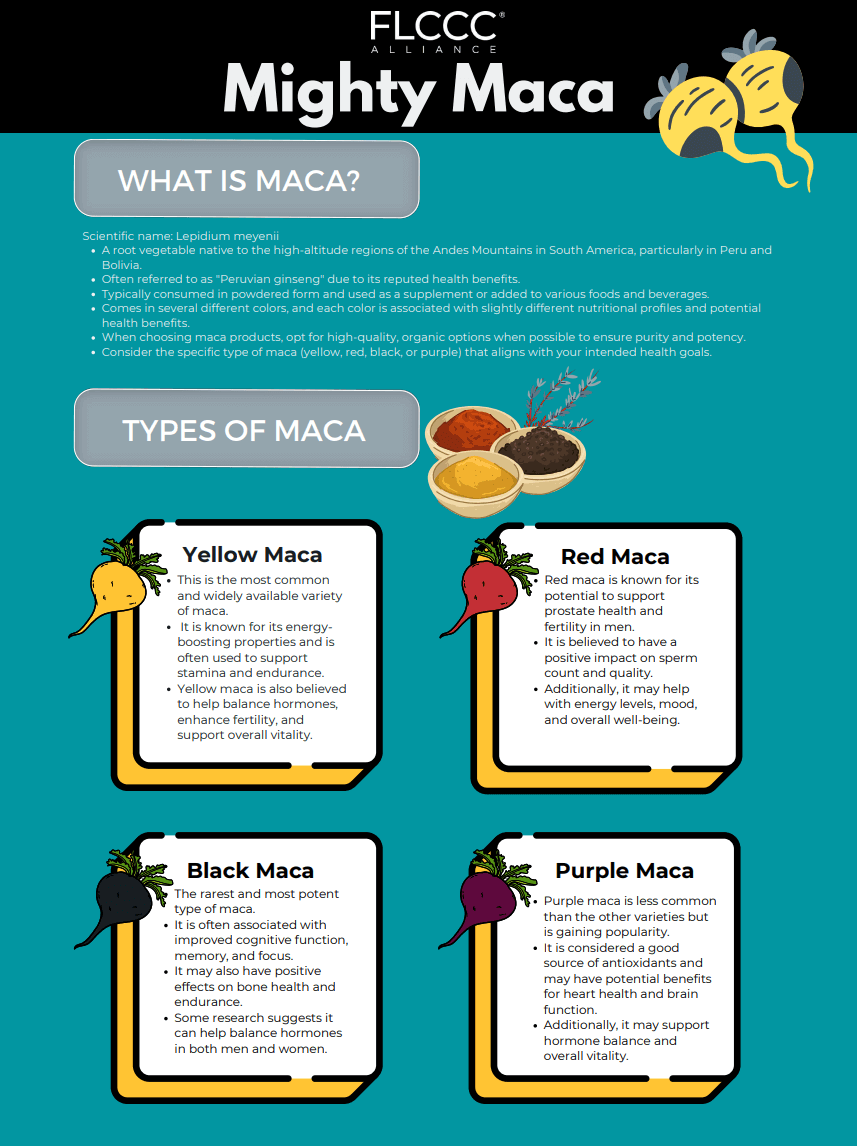 Maca Health Benefits PDF Guide