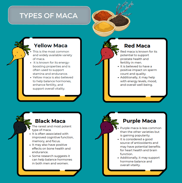 Types of Maca