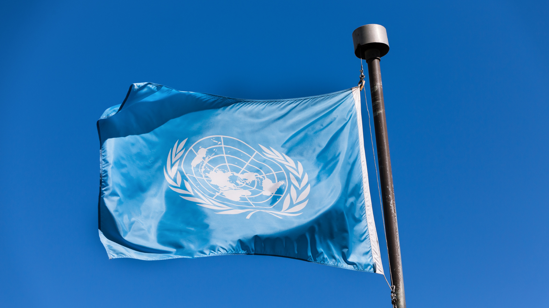 U.N. W.H.O. Flag