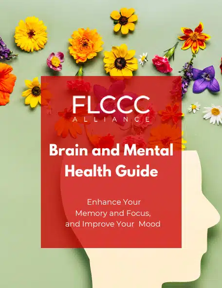 Brain and Mental Health Guide