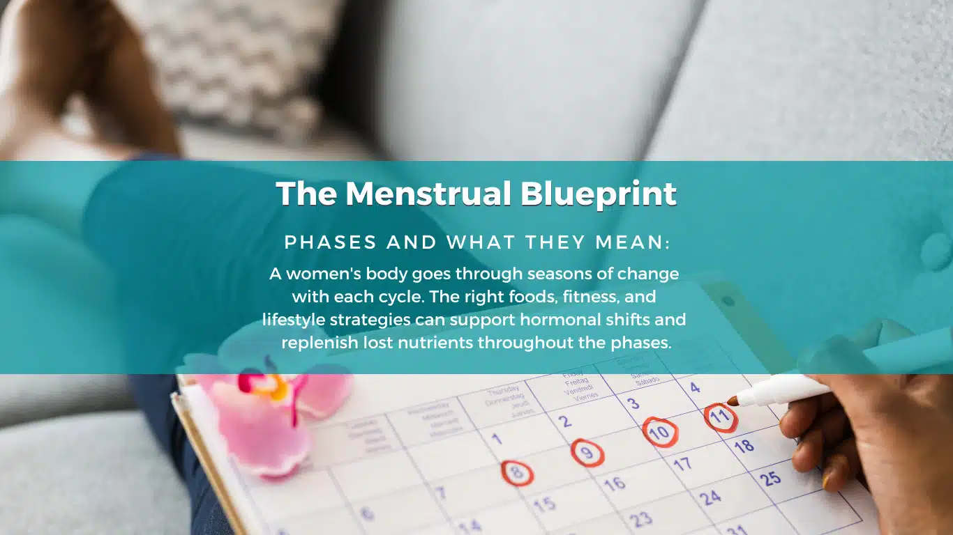 Phases of the menstrual cycle