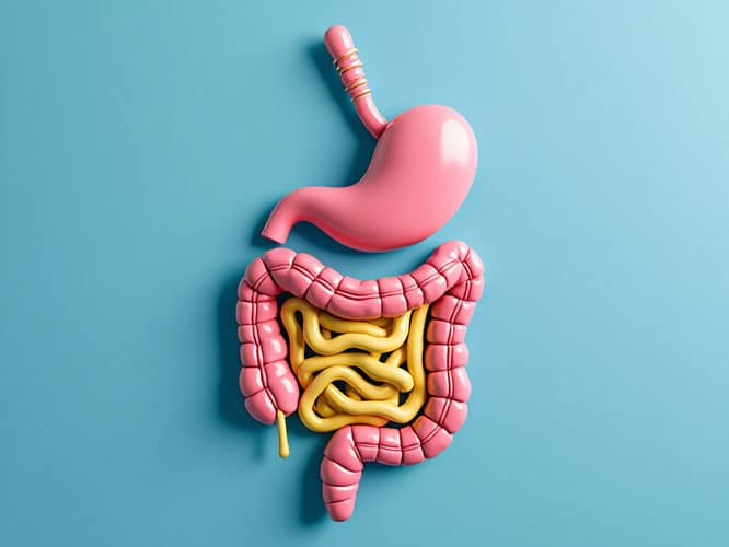 a healthy gut means healthy sleep