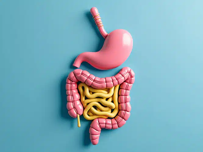 a healthy gut means healthy sleep