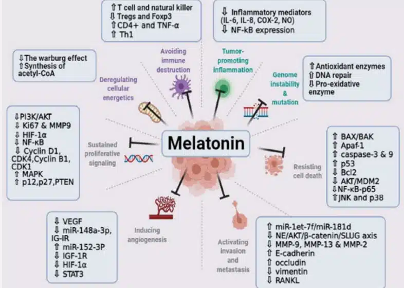 top-18 cancer interventions