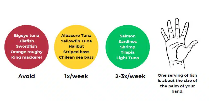 prenatal seafood nutrition tips