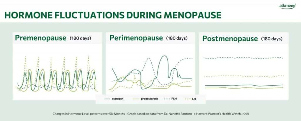 Hormone Fluctuations